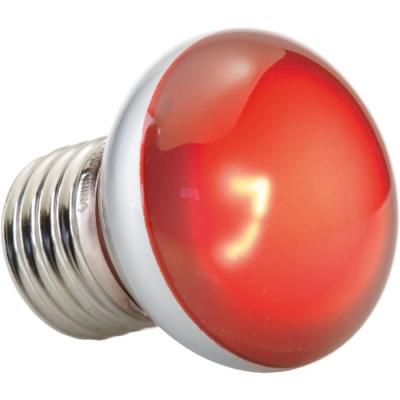 Lampe pour terrarium Exo Terra - Basking Spot Nano 25W - Blanc