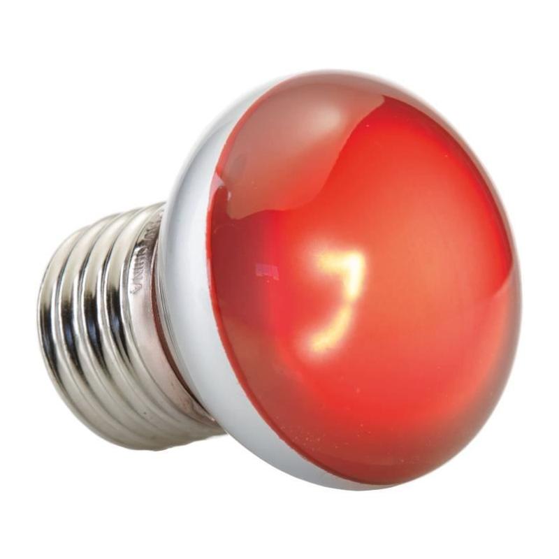 Lampe pour terrarium Exo Terra - Basking Spot Nano 25W - Blanc