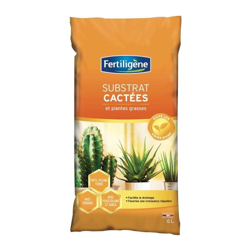 Terreau cactées 6L pour une croissance optimale