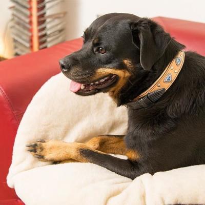 Coussin doux pour chat ou chien - FERPLAST RELAX 55/4