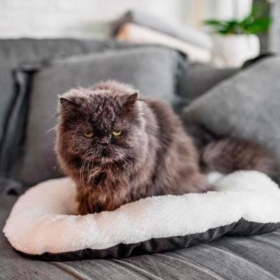 Coussin doux pour chat ou chien - FERPLAST RELAX 55/4
