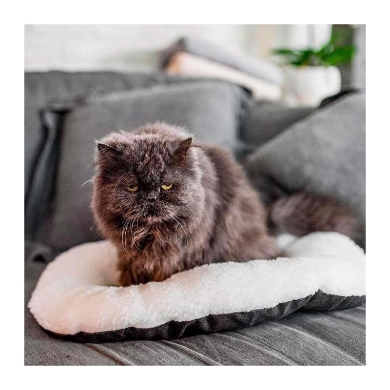 Coussin doux pour chat ou chien - FERPLAST RELAX 55/4