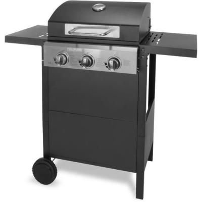 Barbecue performant de Fieldmann - FZG 3003