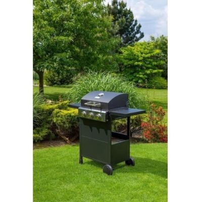 Barbecue performant de Fieldmann - FZG 3003