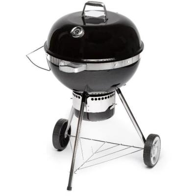 Barbecue au charbon de bois Fieldmann - Pour des grillades savoureuses!