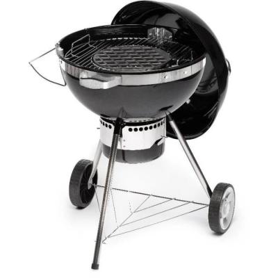 Barbecue au charbon de bois Fieldmann - Pour des grillades savoureuses!