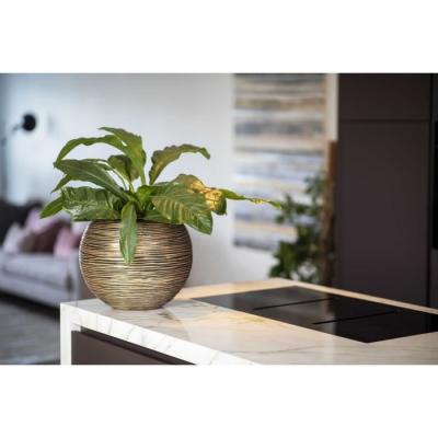 Vase boule CAPI EUROPE Noir / Or - 40 x 32 cm • RIB NL • POT DE FLEUR