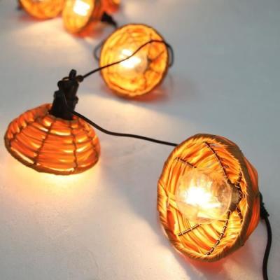 Guirlande lumineuse extérieure LUMISKY COTTAGE - Ambiance chaleureuse - 5.70m - LED blanc chaud