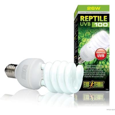 Ampoule UVB 26W Exo Terra pour terrarium tropical - Reptile UVB 100