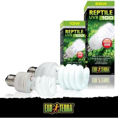Ampoule UVB 26W Exo Terra pour terrarium tropical - Reptile UVB 100