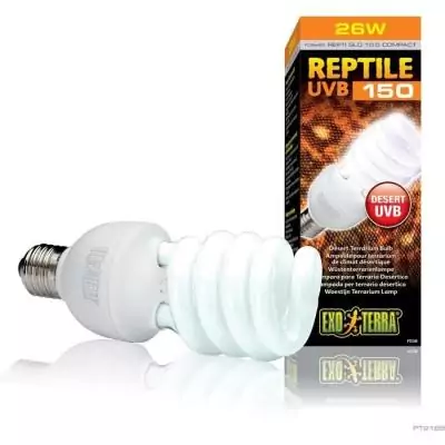 Ampoule fluocompacte UVB 26W pour terrarium désert - EXO TERRA