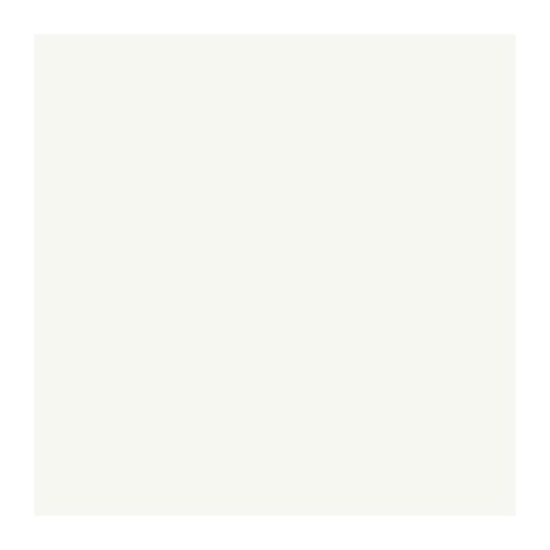 Peinture RIPOLIN PROTECTION EXTREME FACADE BLANC Mat 10 L