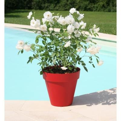 Pot de fleurs Soleilla Rouge - Ø 49 x 44,8 cm - Élégance florale