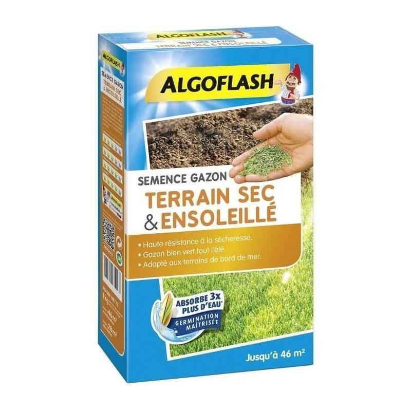 ALGOFLASH Gazon pour terrain sec ensoleillé - 1kg
