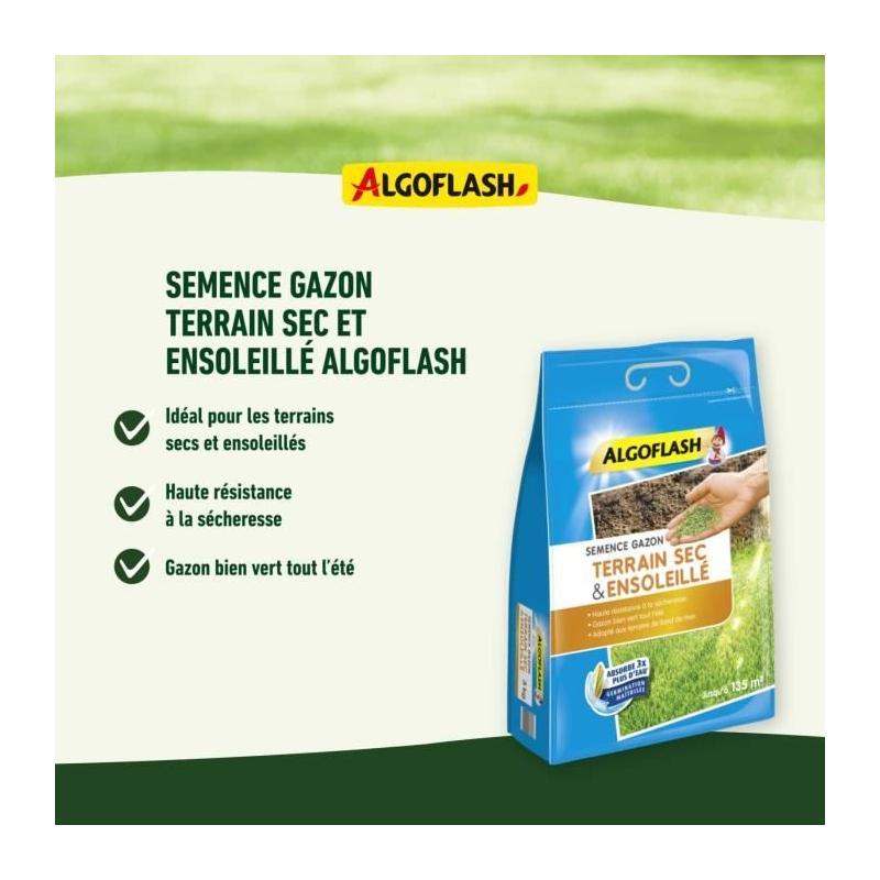 ALGOFLASH Gazon pour terrain sec ensoleillé - 1kg
