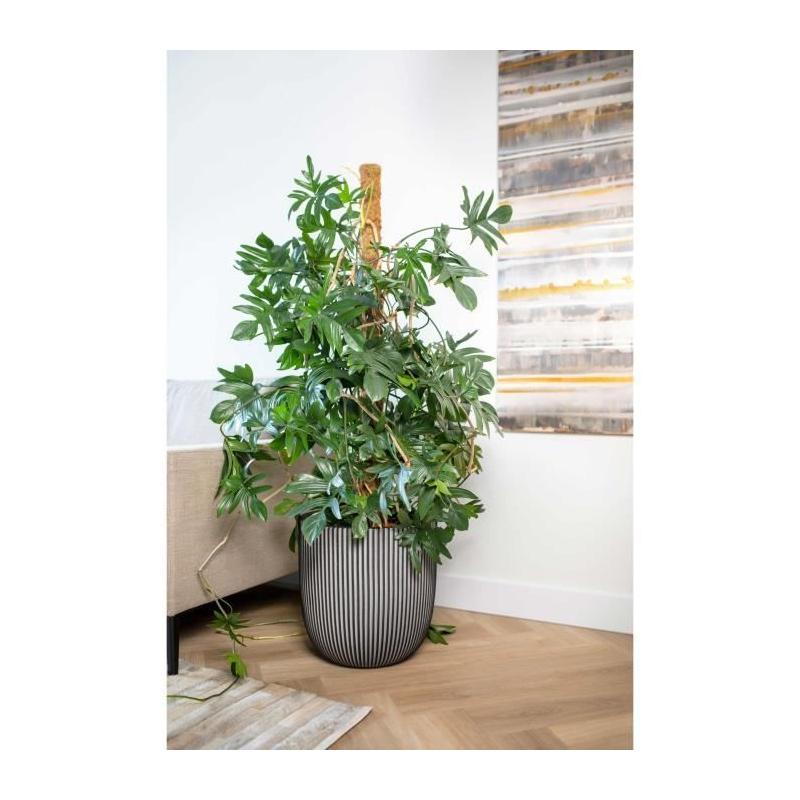 Pot de fleur boule anthracite Capi Europe Groove NL - 43 x 41 cm