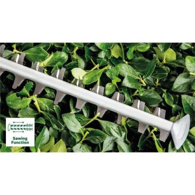 Taille-haies sans fil puissant 36V-65-28
