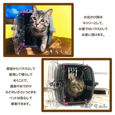 Panier de transport JET 10 - Idéal pour chats et petits chiens