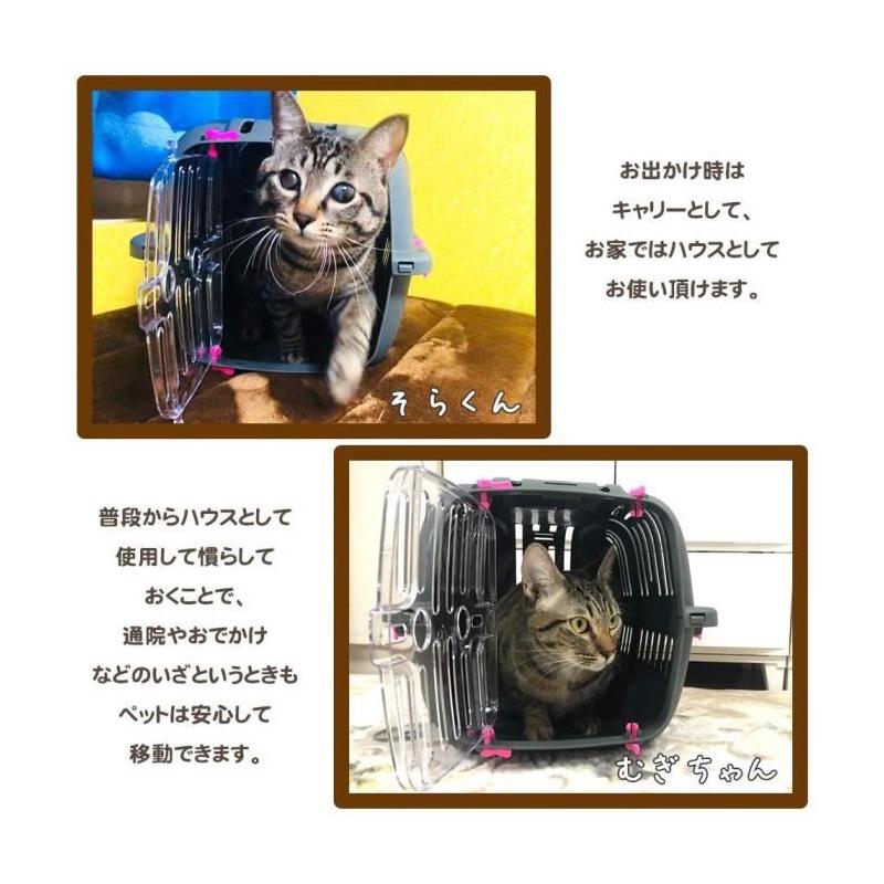 Panier de transport JET 10 - Idéal pour chats et petits chiens