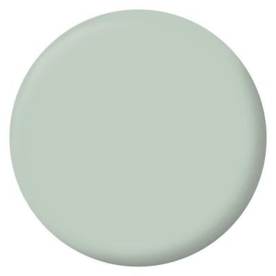 Peinture Velours Vert Palatino pour Murs, Boiseries et Radiateurs