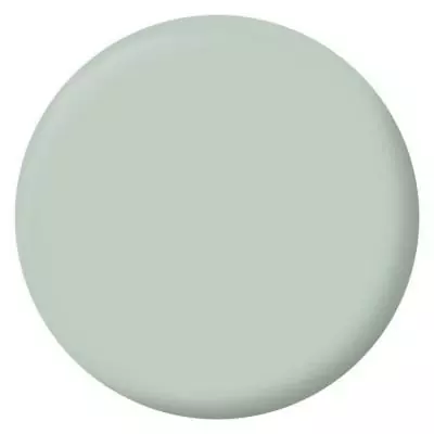 Peinture Velours Vert Palatino pour Murs, Boiseries et Radiateurs