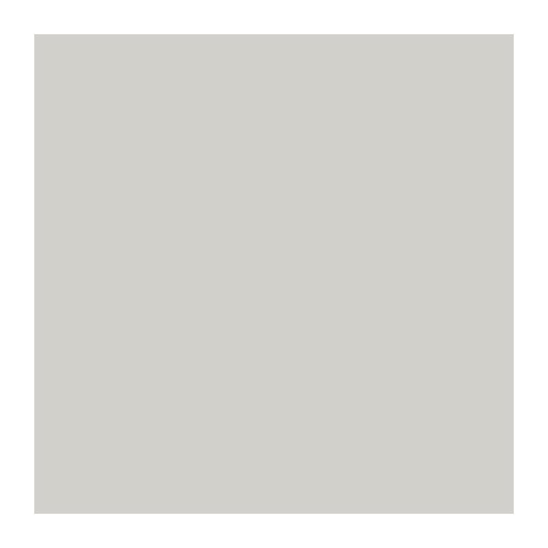 Peinture Ripolin Couleur Satin Ultra Couvrante - Gris Cetus