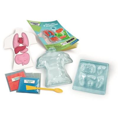 Mini Labo d'anatomie CLEMENTONI: Explorer le corps humain - CLE EVEIL