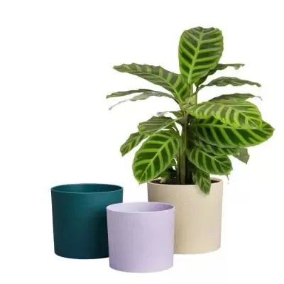 Pot de fleur Elho Lex Pott - Set 14 - Blanc Vert Violet - Intérieur - 100% recyclé Pot de fleur Elho Lex Pott - Set 14 - Blanc Vert Violet - Intérieur - 100% recyclé