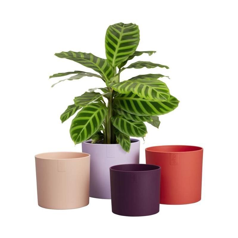 Pot de fleur Elho Lex Pott - Set 15 - Violet Rouge Rose - L 15 x B 14.8 x H 14 cm - Intérieur