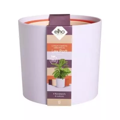 Pot de fleur Elho Lex Pott - Set 15 - Violet Rouge Rose - L 15 x B 14.8 x H 14 cm - Intérieur Pot de fleur Elho Lex Pott - Set 15 - Violet Rouge Rose - L 15 x B 14.8 x H 14 cm - Intérieur