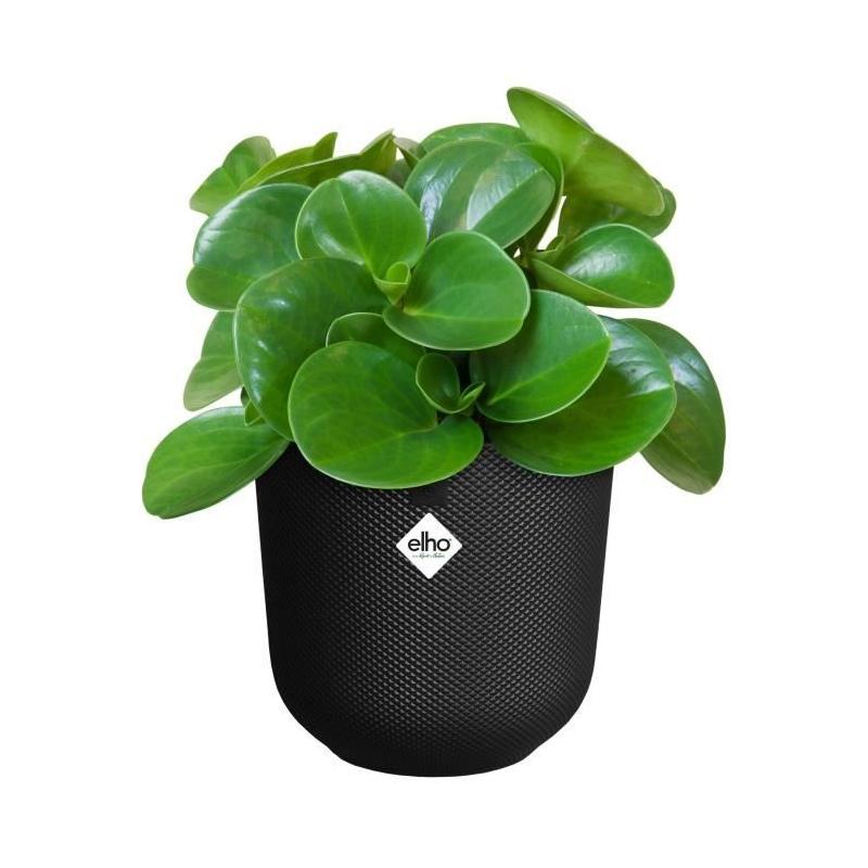 Pot de fleur Elho Jazz Rond Noir - Ø 26 x H 24 cm - Intérieur recyclé