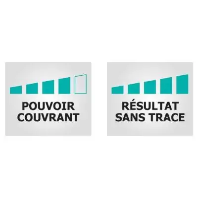 Peinture plafonds sans trace RIPOLIN 10L