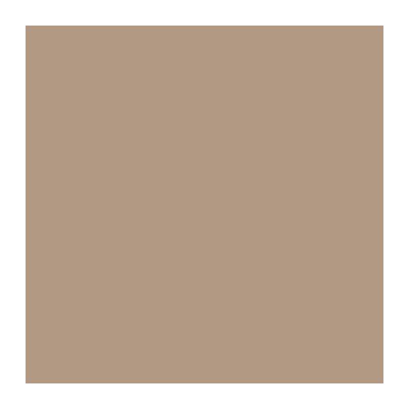 Peinture bois satinée beige moka RAL 1019 - RIPOLIN - 2,5 L