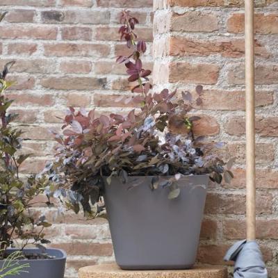 Pot de fleurs carré DEROMA Origin 12 L Gris