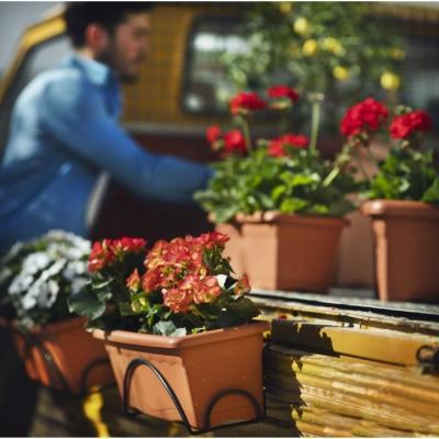 Jardinière rectangulaire terracotta pour fleurs - Ø 80 x 20 cm