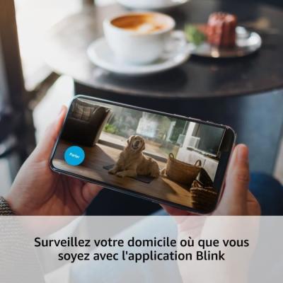 Caméra de surveillance HD 1080p avec vision nocturne et détection de mouvements