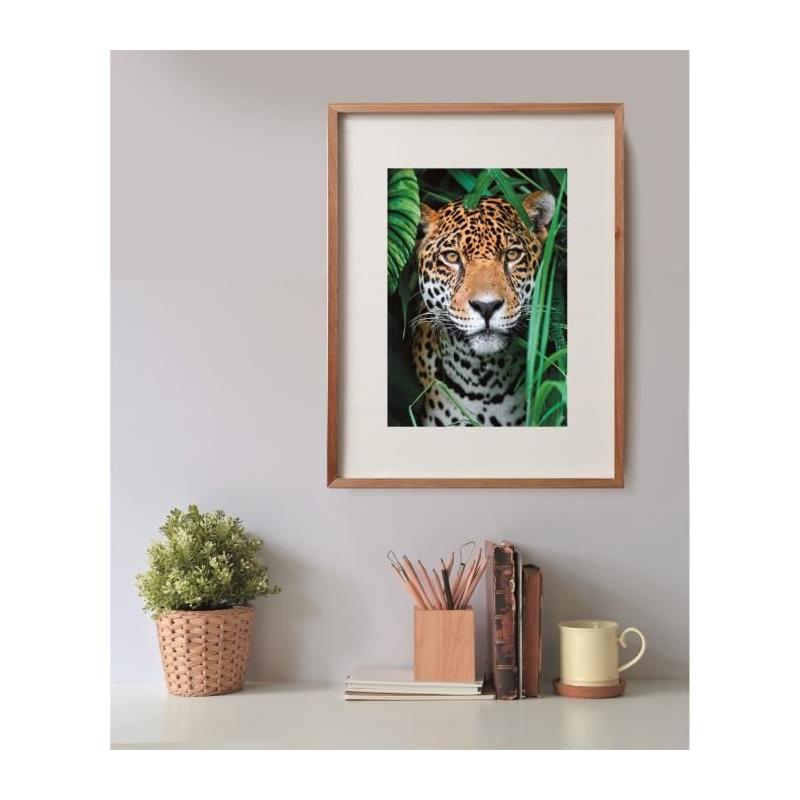 Puzzle CLEMENTONI Compact 500 pièces - Jaguar dans la jungle