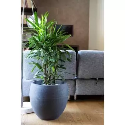 Pot de fleur EDA rond Graphit Ø50cm - 46L Gris anthracite