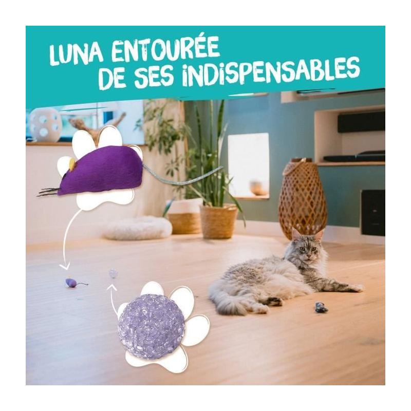 7 jouets pour Chat - Des friandises AIMÉes!