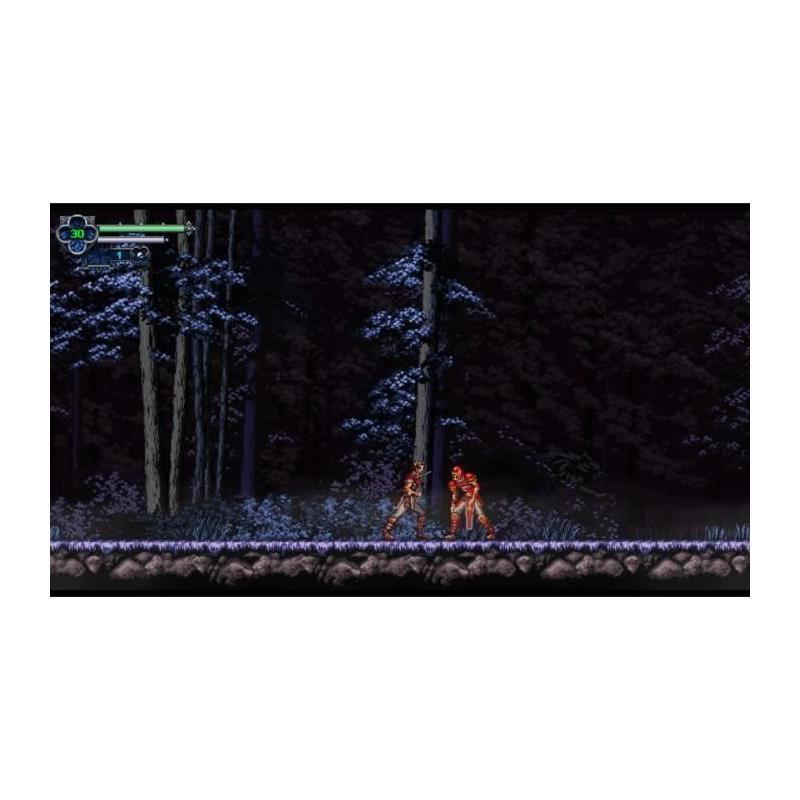 Chronicles of the Wolf - Aventure sur Nintendo Switch