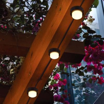 Éclairage solaire pour allée: 10 mini-spots lumineux à LED blanc chaud