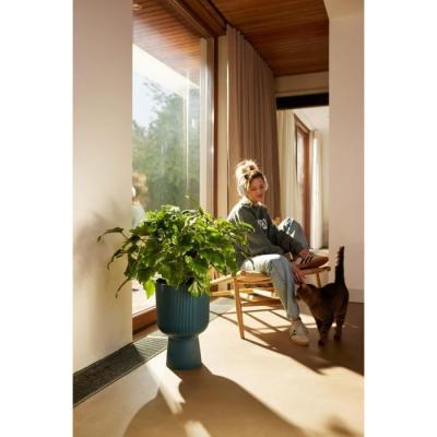 Pot de fleur Elho Vibes Fold Coupe Bleu - 100% recyclé
