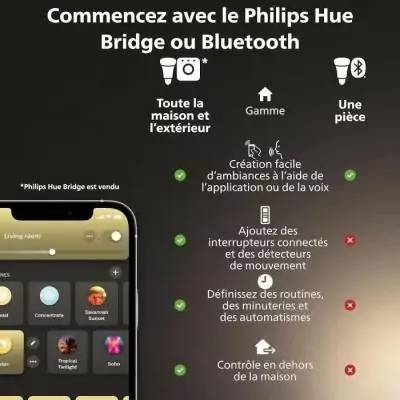 Ampoule intelligente Philips Hue MR16 - Lot de 2