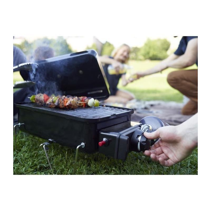 Barbecue à gaz Weber Go-Anywhere - Compact et performant