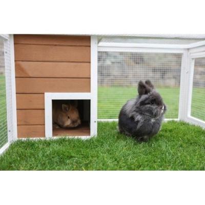 Enclos extérieur pour petits animaux avec maison intégrée