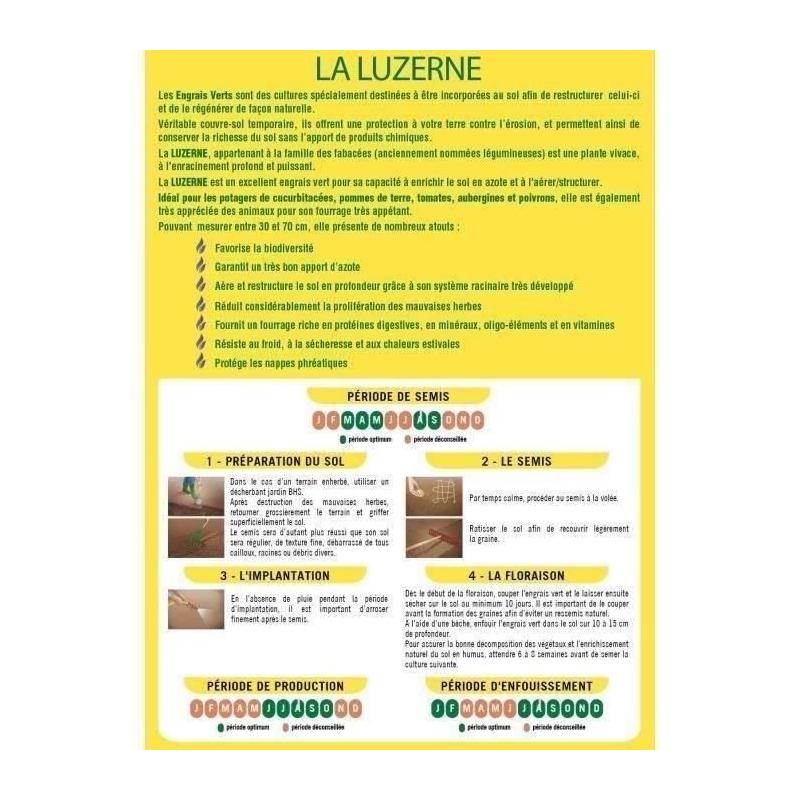 Améliorez votre sol avec Luzerne BHS - 500g | Gazon Naturel