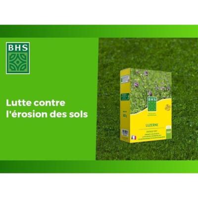 Améliorez votre sol avec Luzerne BHS - 500g | Gazon Naturel