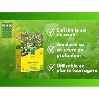 Trefle Blanc - BHS - 500 m² | Gazon naturel biodiversité & résistant