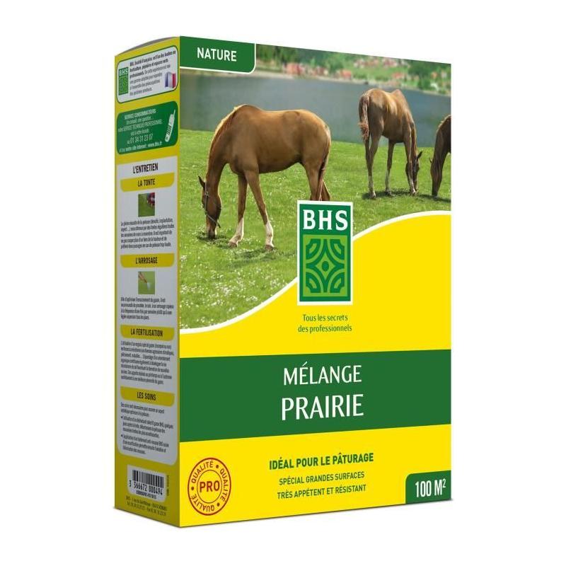 Gazon naturel BHS – Mélange Prairie 1kg | Installation rapide et sans entretien