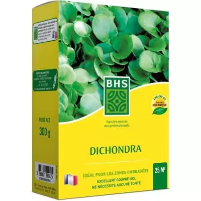 Gazon Kikuyu BHS - 300g | Résiste chaleur & piétinements